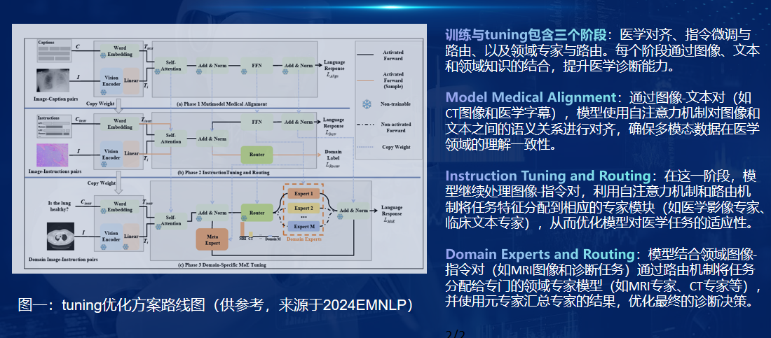 Three-stage fine-tuning: Medical Alignment → Instruction Tuning & Routing → Domain Expert Routing (reference: EMNLP 2024).